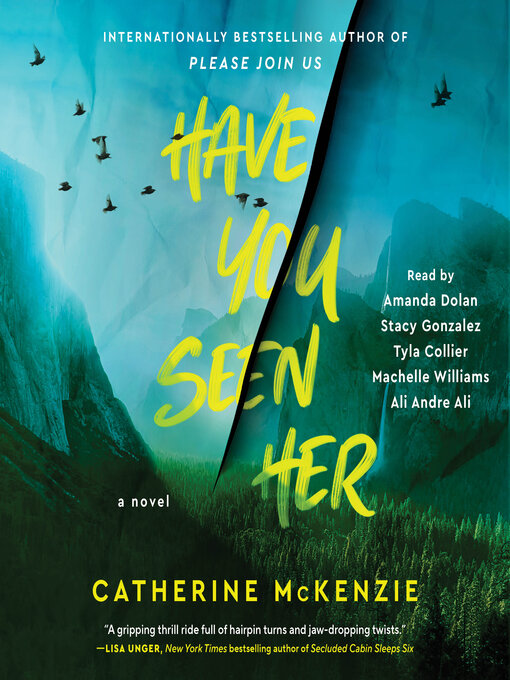 Title details for Have You Seen Her by Catherine McKenzie - Wait list